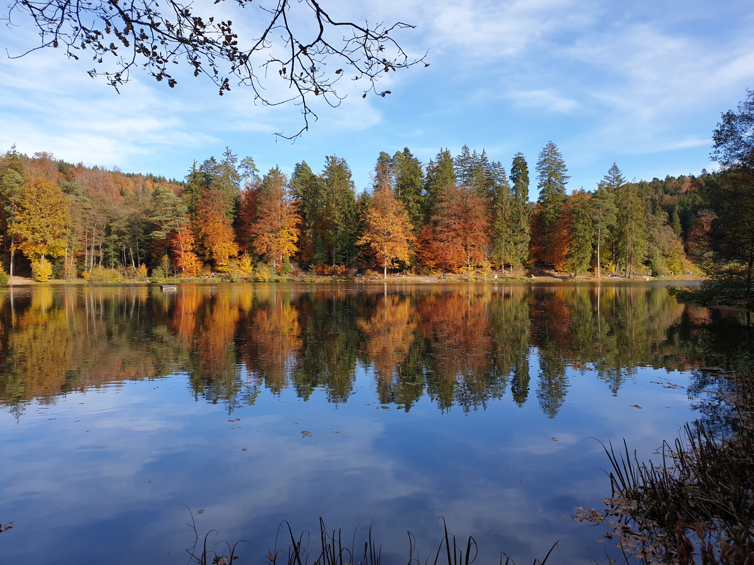 Bild zeigt einen bunten Herbstwald, der sich im Wasser eines Sees spiegelt.
